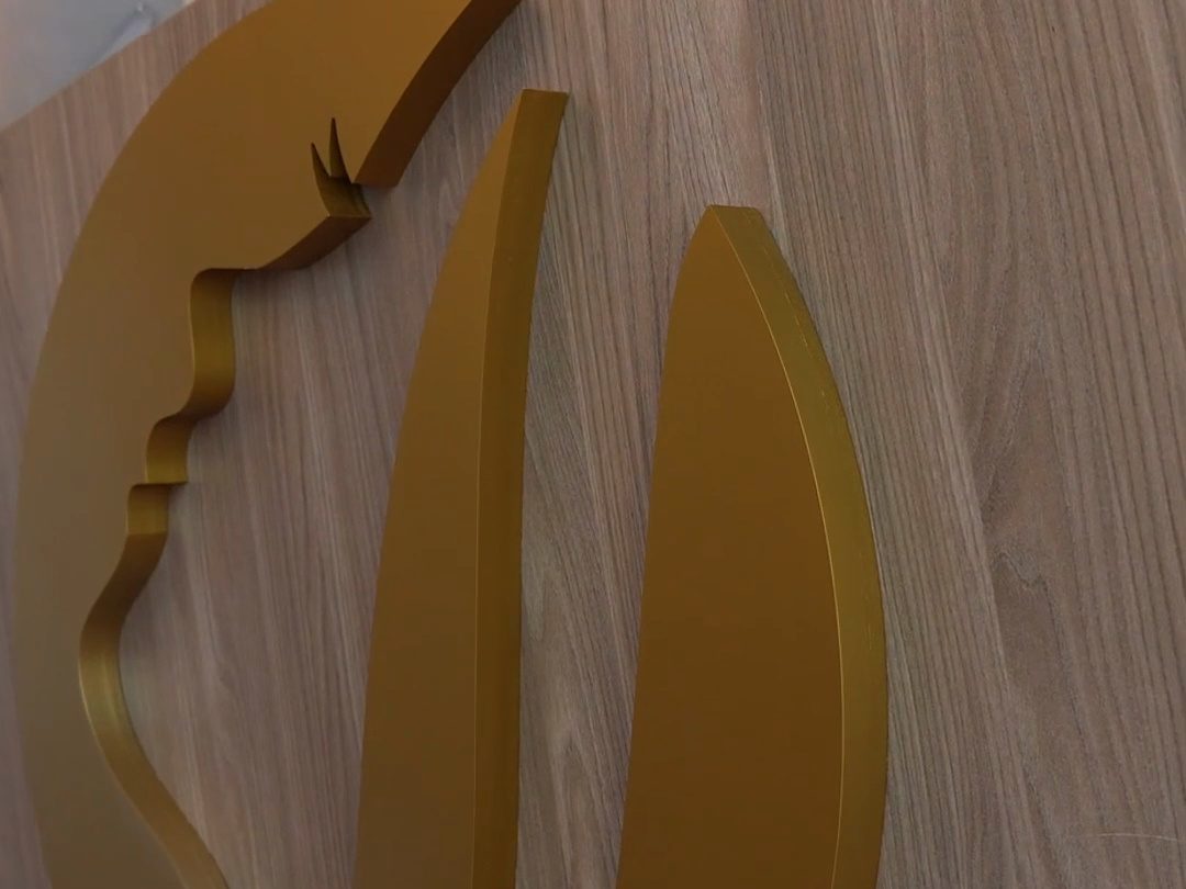 Goldenes Logo der Praxis an der Holzwand